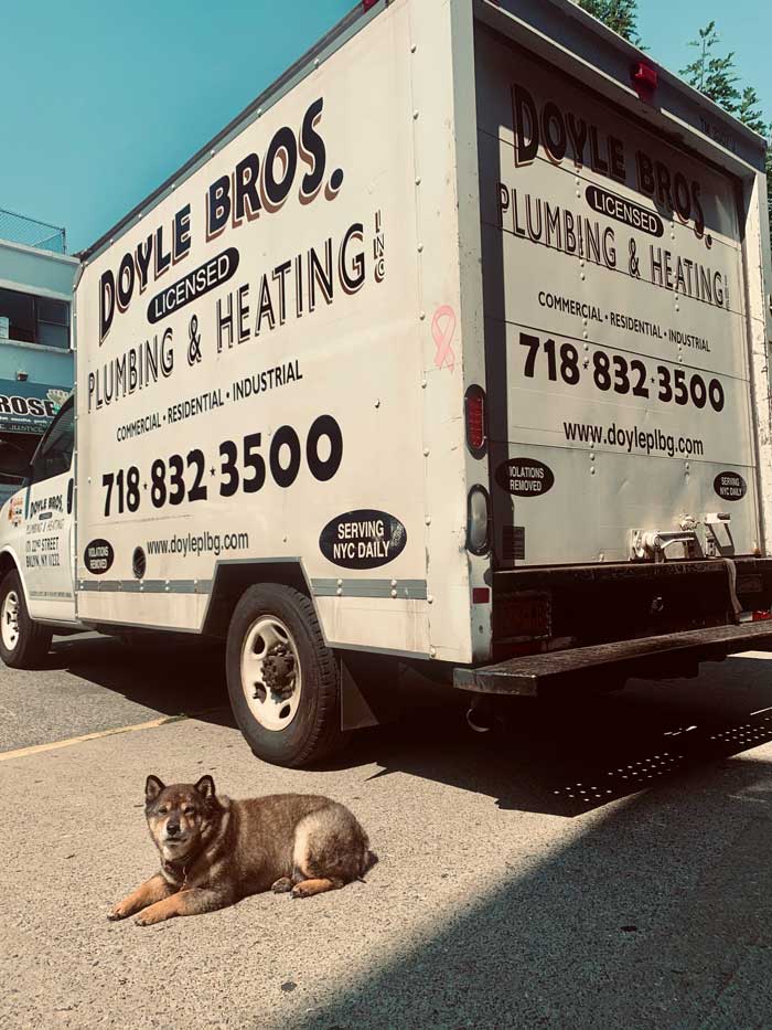 Doyle Brothers box truck with a dog sitting in front of it